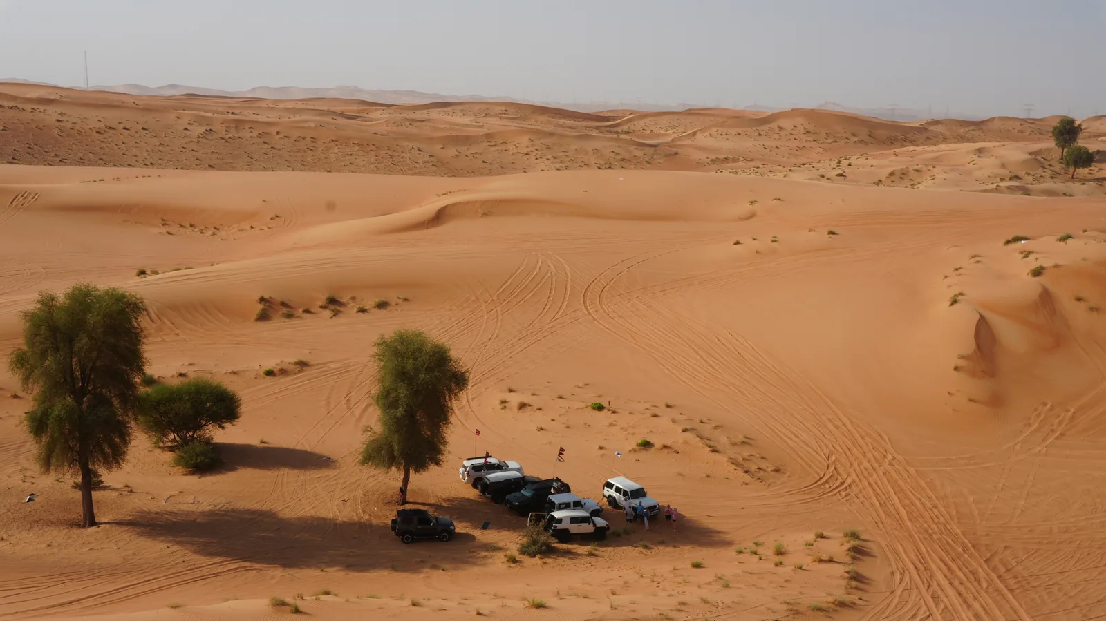 Wide overhead view of the convoy and crew stopped beside desert trees