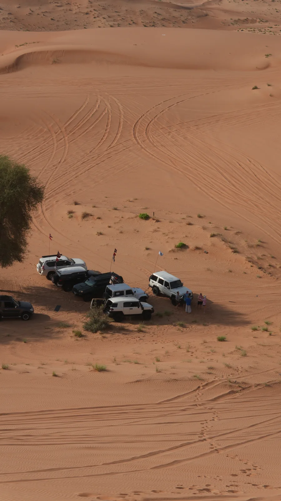 Overhead view of crew members beside their parked 4x4 convoy in the desert